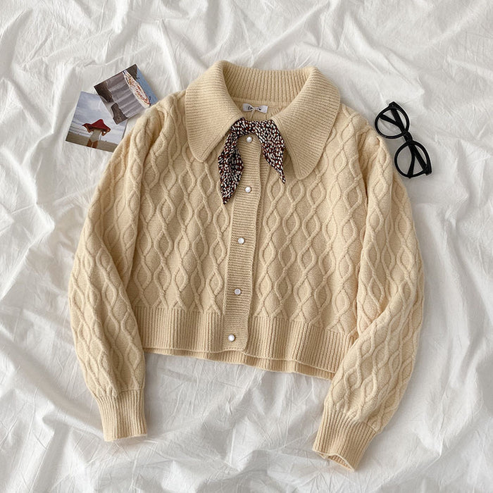 Loose All-Match Lapel Ladies Sweater Jacket DJFShopping/Fashion