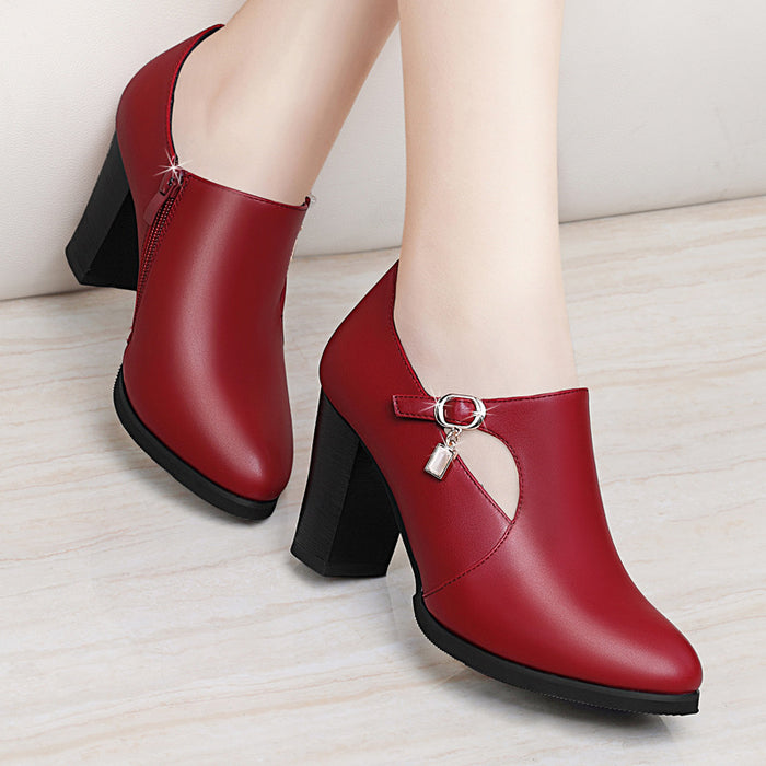 With all-match shoes spring new high-heeled shoes with thick women and middle-aged lady mother shoe leather shoes DJFShopping/Fashion