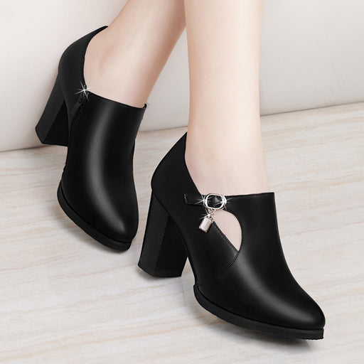 With all-match shoes spring new high-heeled shoes with thick women and middle-aged lady mother shoe leather shoes DJFShopping/Fashion