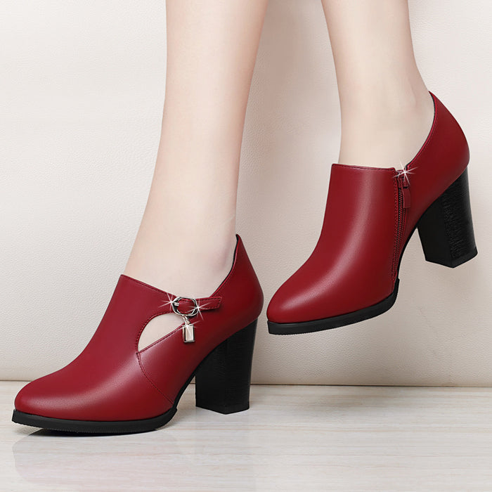 With all-match shoes spring new high-heeled shoes with thick women and middle-aged lady mother shoe leather shoes DJFShopping/Fashion